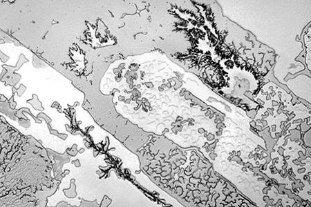 Photographer Rose-Lynn Fisher captures tears of grief, joy, laughter and irritation in extreme detail. Above: Tears of timeless reunion