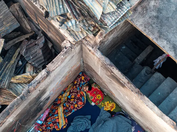 Life is Not a Bed of Roses, Yet We Sleep thumbnail