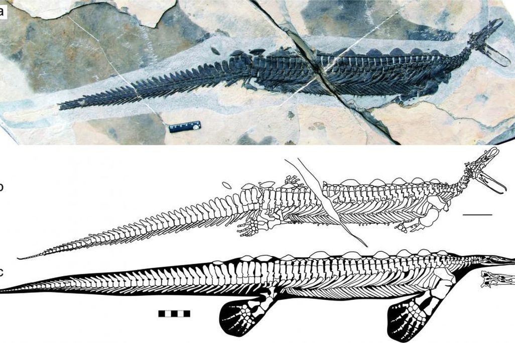 figure_1.jpg