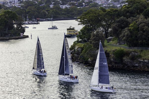 Three sailboats in sydney thumbnail