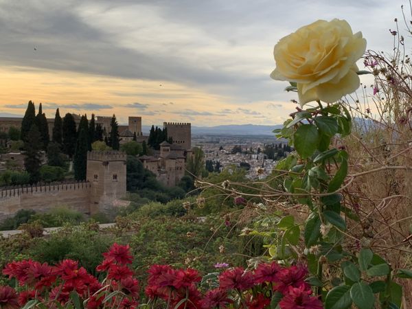 Overlooking The Alhambra thumbnail