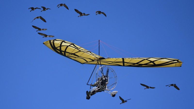 How We Lifted Flight from Bird Evolution