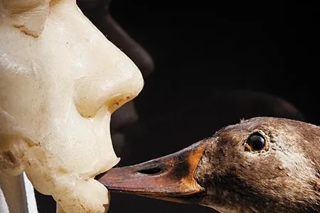 Quack medicine? Inhaling the breath of a duck, according to the exhibit, was once used to cure children of thrush and other disorders of the mouth and throat.