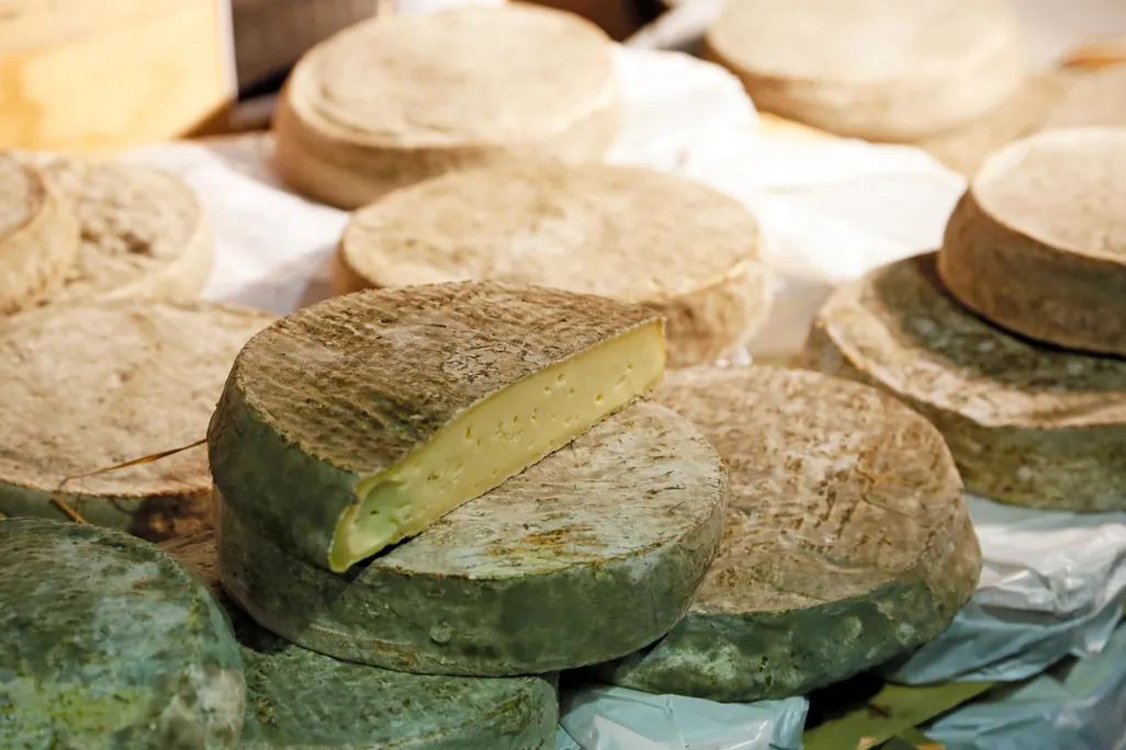 Wheels of Saint-Nectaire cheese
