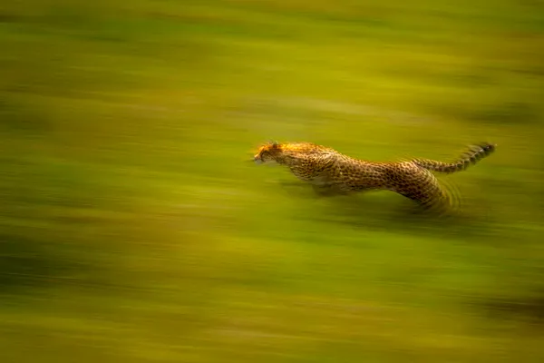 The Speed of Light thumbnail