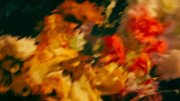 A blaze of peon thumbnail