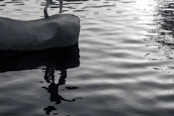 Longing to Dive thumbnail