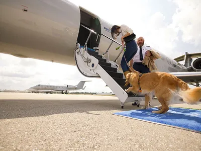 All dog breeds are welcome on Bark Air, though humans must be at least 18 to fly.