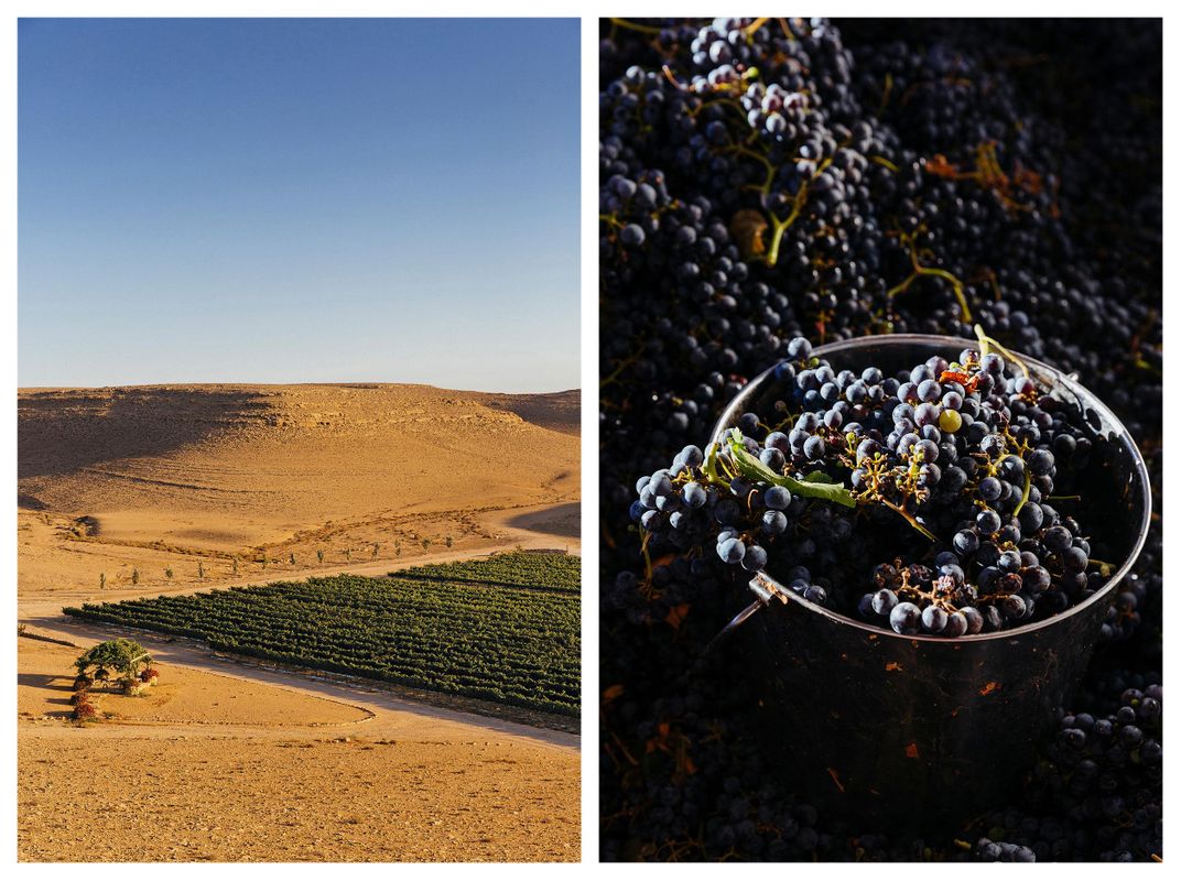 View of Nana Estate vineyard and clusters of grapes at Carmey Avdat winery