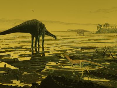 This is an artist's impression of sauropod dinosaurs on the Isle of Skye.