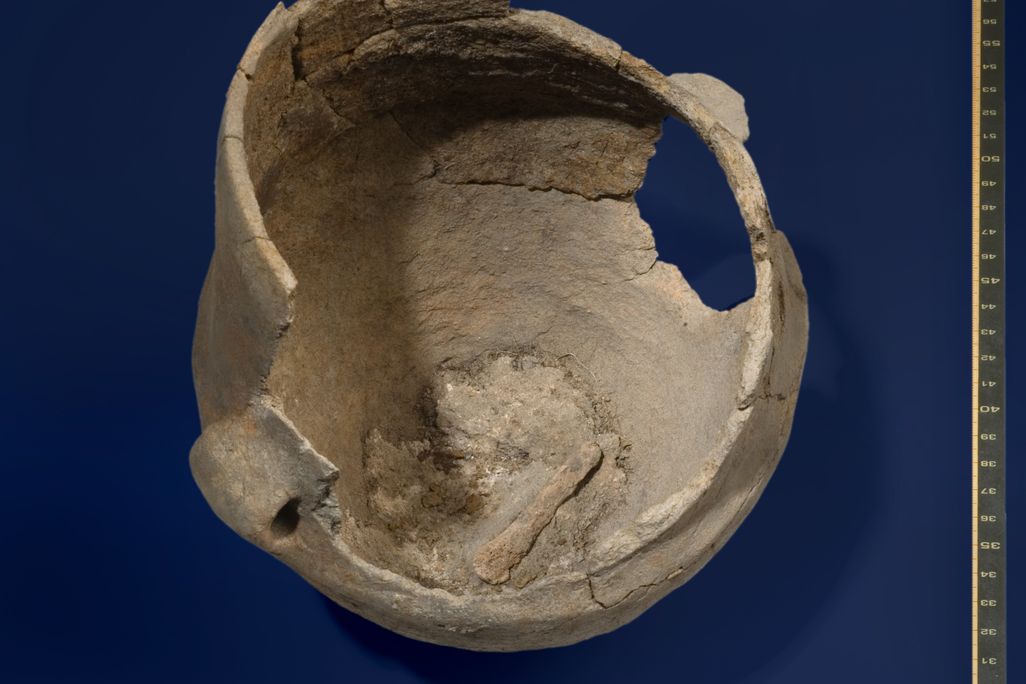 5,000-year-old ceramic vessal
