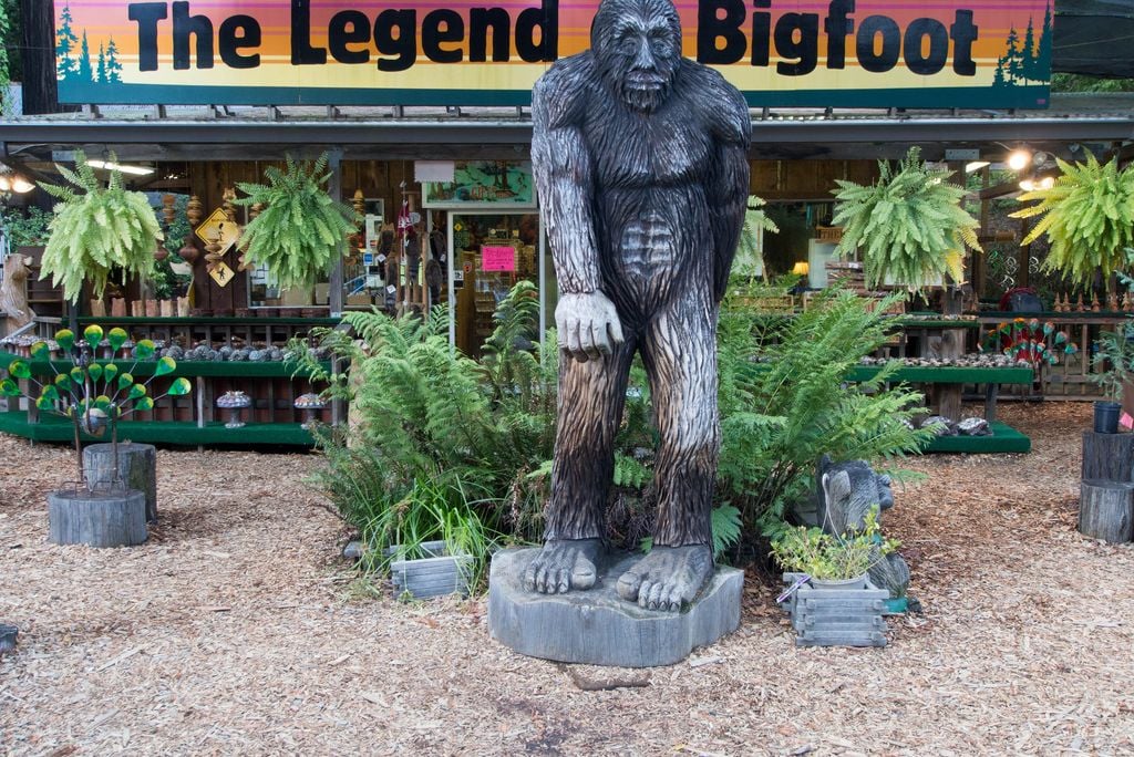 Bigfoot