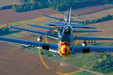 Six Mustangs in trail: Now THAT’s a tight formation.