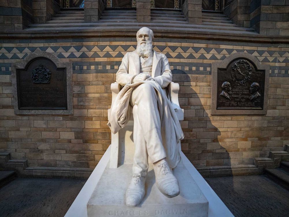 Charles Darwin Statue