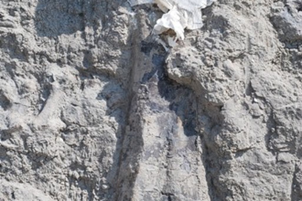 20110520083146dinosaur-limb-bone-monument.jpg
