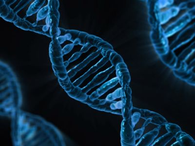 We know about DNA on Earth. What would carry the genetic code elsewhere?
