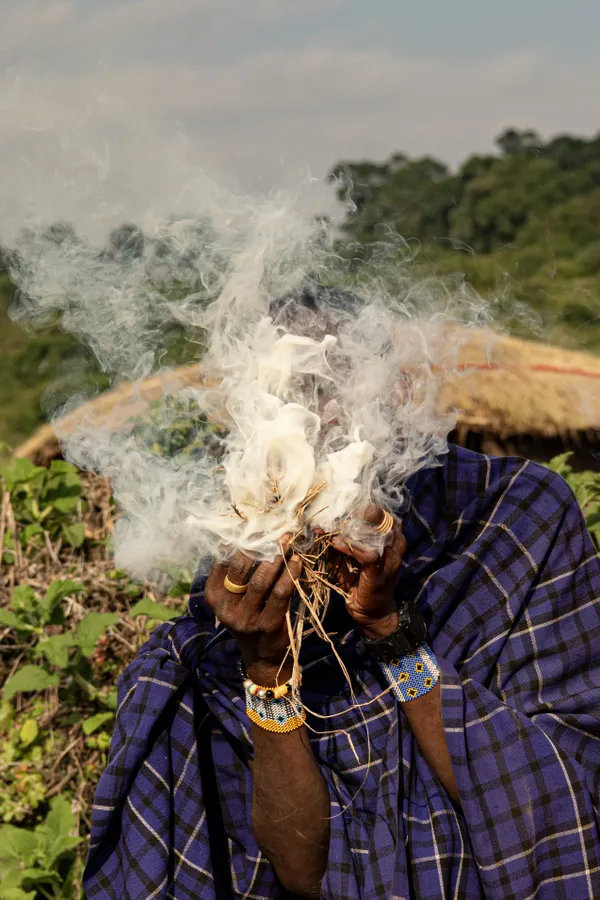 The Firemaster thumbnail