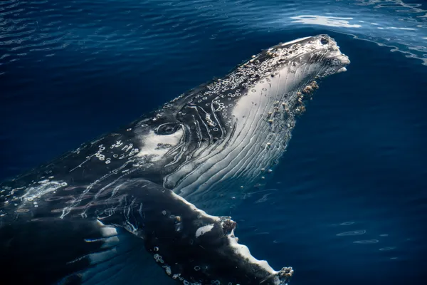 Window Between Worlds thumbnail