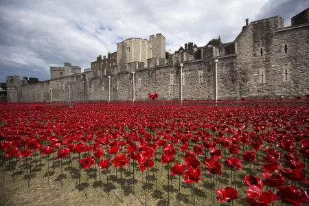 The art installation "Blood Swept Lands and Seas of Red" marking the anniversary of the World War One is seen at the Tower of London July 28, 2014.