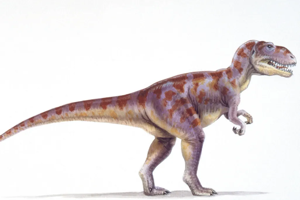 Megalosaurus