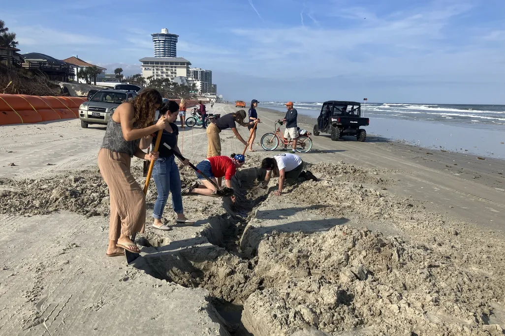 Volunteers and archaeologists digging in the sand