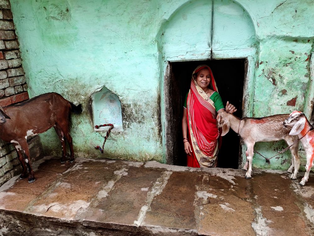 World of Love and Affection Smithsonian Photo Contest Smithsonian