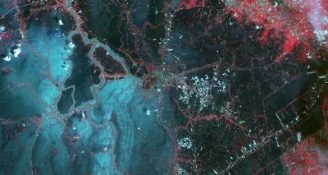 A false-color image of flooding in Bangkok, Thailand