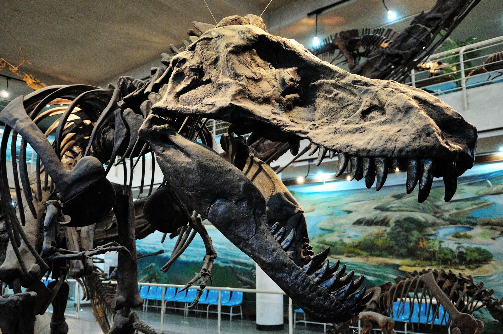 2023 China Dinosaur Exhibition: A Time-Traveling Journey of Discovery