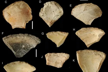 Clam shells, likely collected from live clams, would have made for naturally sharp cutting tools.