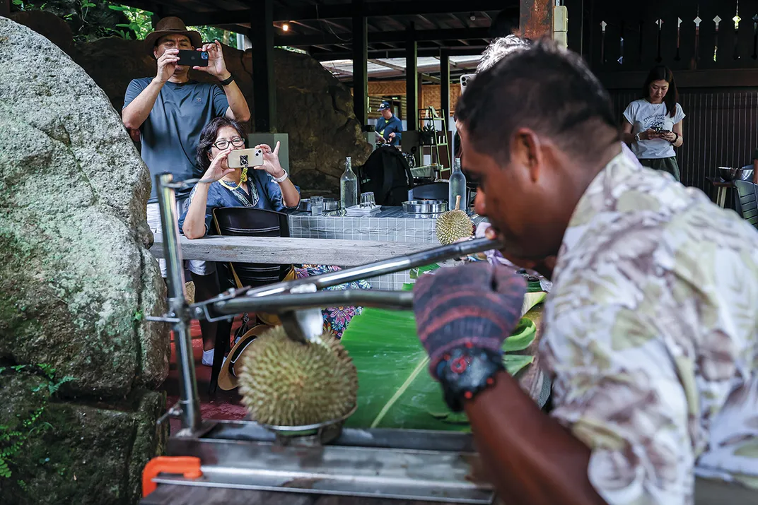 a durian being cracked open with a hand held machine