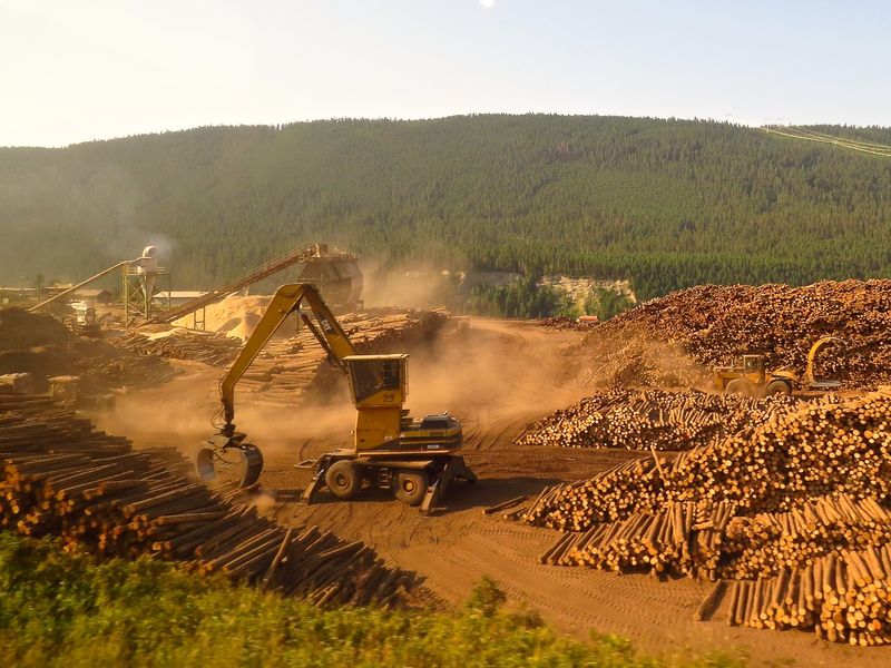 Lumber Landscape Smithsonian Photo Contest Smithsonian Magazine