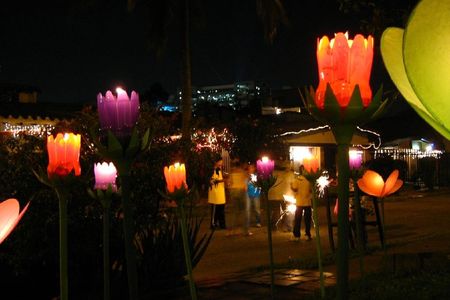 Lanterns in Medellín, Colombia.