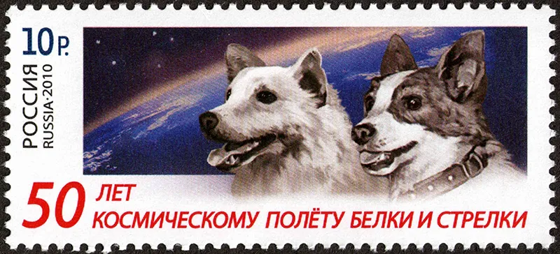Belka_&_Strelka_50_Years_Flight_Stamp.jpg