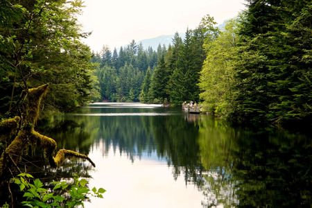 Rice Lake in the Lower Seymour Conservation Reserve.