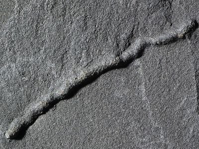 Suspected traces of a tunneling organism, 2.1 billion years ago.