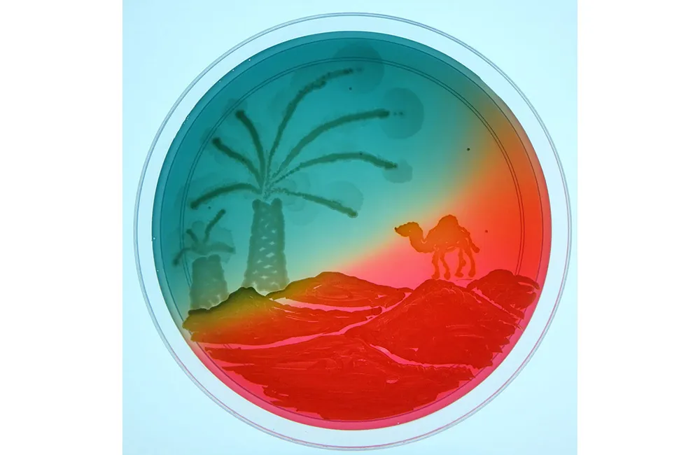 Agar Art Ablution