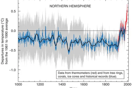 The IPCC’s famous “hocket stick” chart of global temperatures.