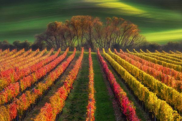 Autumn Pallete of Moravia thumbnail