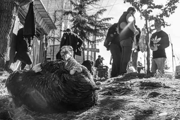 Not for sale thumbnail