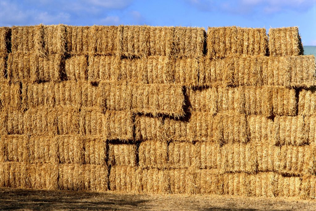 Straw