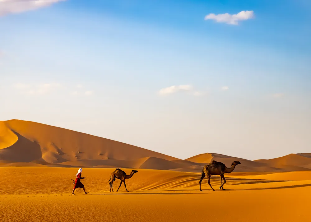 Beneath the expansive Sahara sky, a poetic dance unfolds on a canvas of golden sand. A mother camel gracefully guides her curious calf, while a young herder, barefoot and reaching out, orchestrates this enchanting symphony. Against the backdrop of three majestic hills, the desert whispers a timeless tale of unity and serenity.