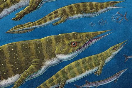 An artist’s depiction of Gunakadeit joseeae