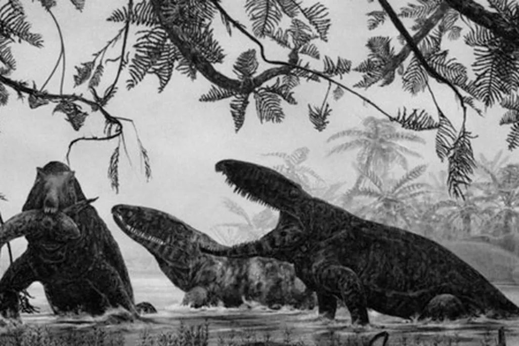 Ophiacodons