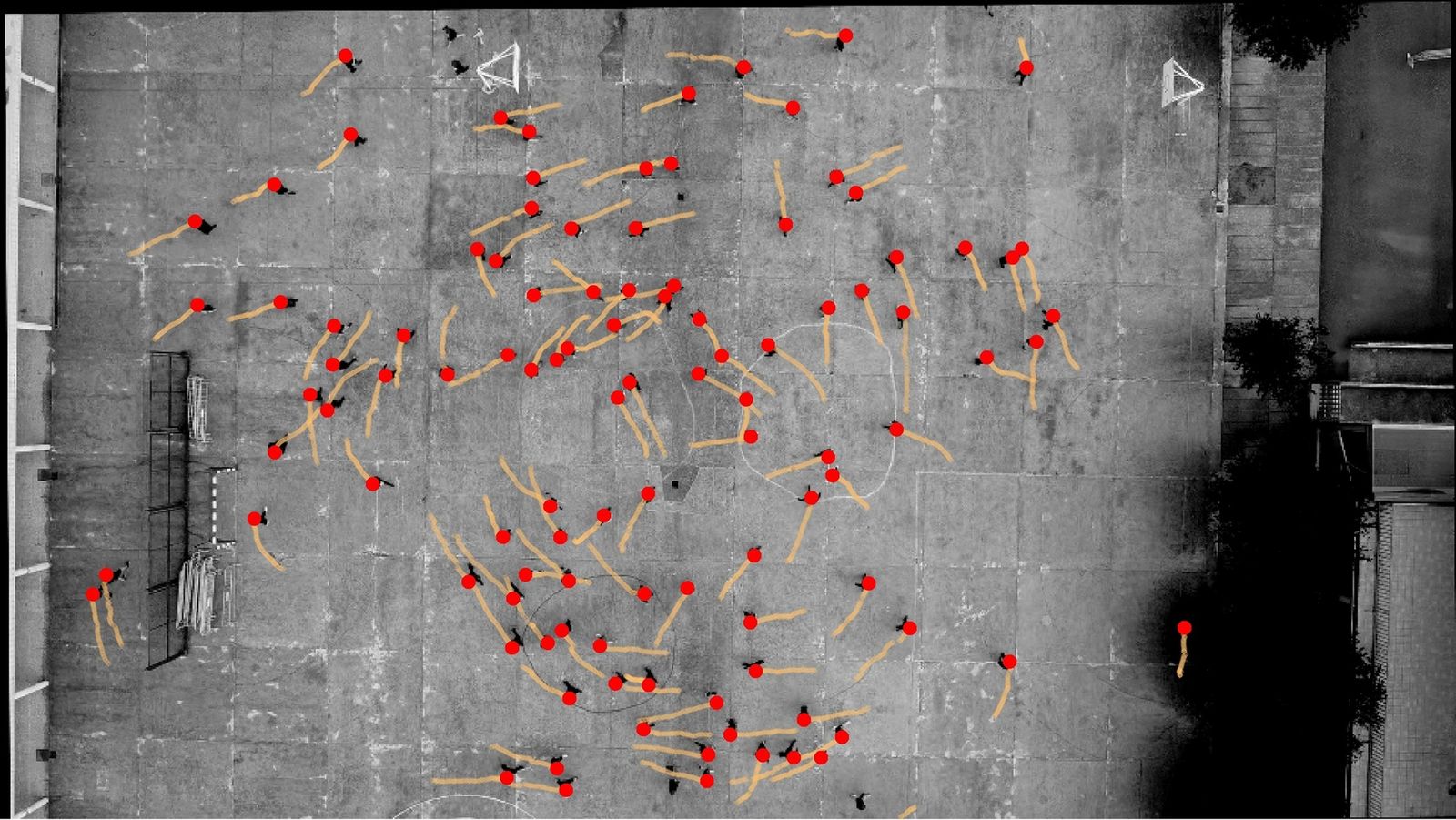 Researchers Accidentally Discover That Humans Prefer to Turn Counterclockwise. But They Still Have No Idea Why