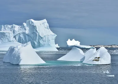 antarctica