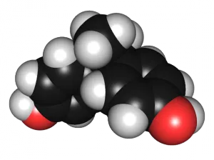Bisphenol-A may increase body mass by disrupting the metabolism in several ways.