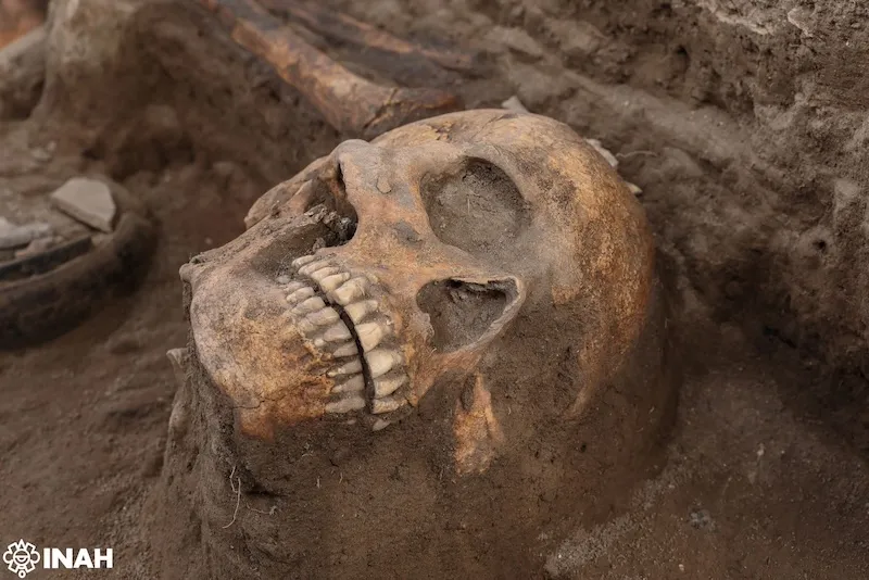 skull