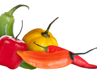 Group of red, yellow, orange, green peppers. (Biomuseo)
