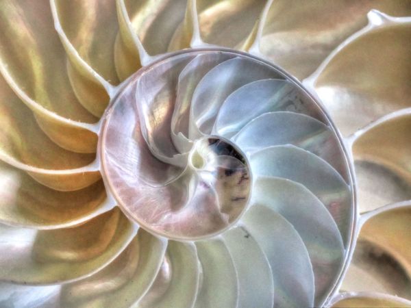 A Seaside Spiral thumbnail