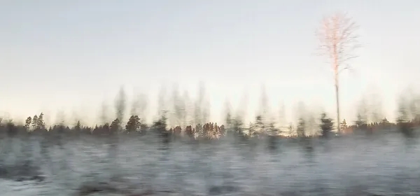 Countryside in central Sweden thumbnail